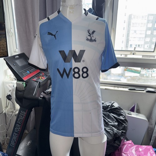 Crystal palace puma shirt - 3d,