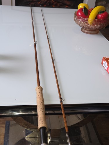 Split cane fly - , s