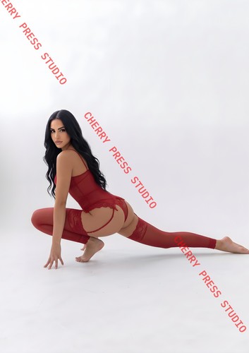 Red lingerie fashion - lingerie,