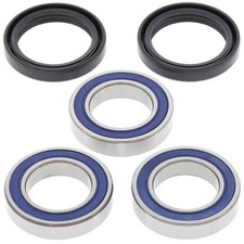 All Balls Rear Wheel Bearings
