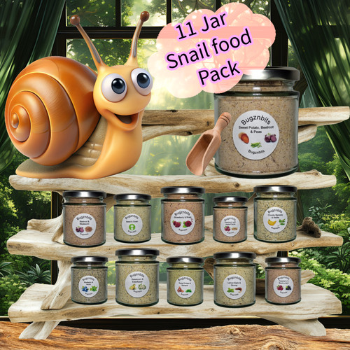 Land snail food jar multi - snail,