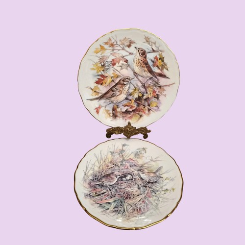 Royal albert garden birds - birds, from