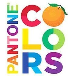 Colors board book - colors:, a