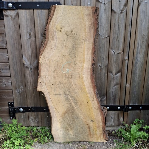 Oak wood waney - -, live