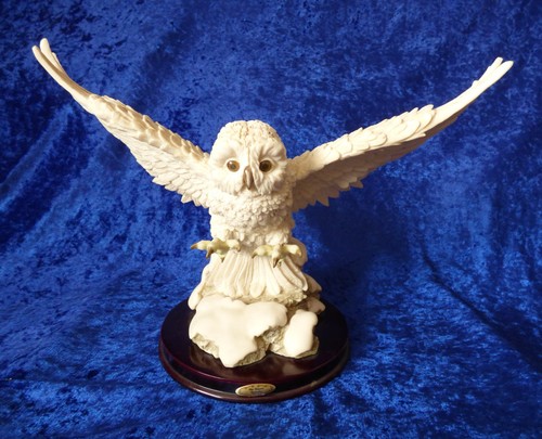 Flying owl with talons - flying,