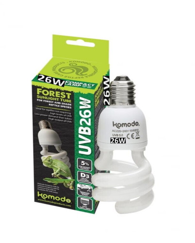 Komodo reptile compact - reptile,