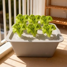 Hydroponic System Growing Box 6 Holes Garden Cabinet Box for Lettuce Herbs