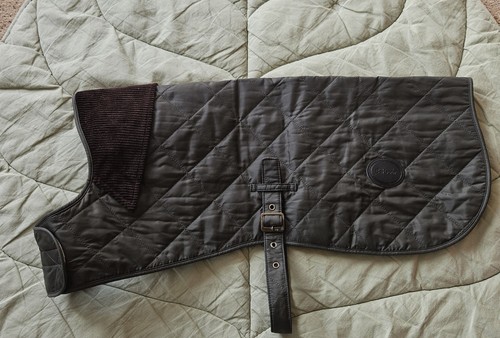 Barbour large dog - dog, coat