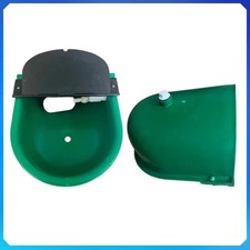 Automatic Horse Drinking Water