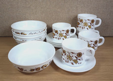 Vintage Arcopal France