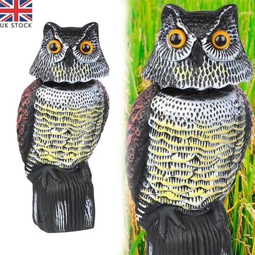Realistic owl decoy deterrent - realistic,