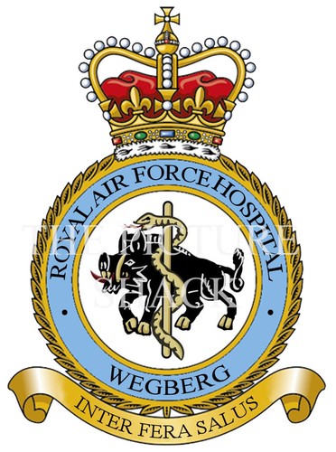 Raf hospital wegberg badge - hospital,