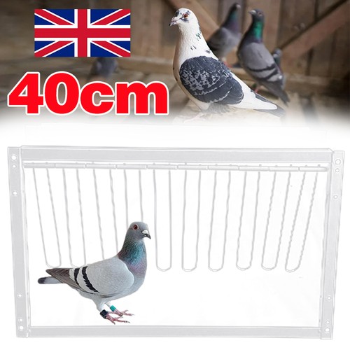 Removable trap door bird - door,