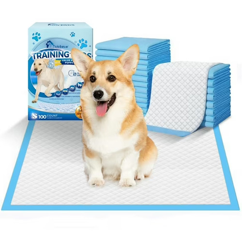 Large puppy training - puppy, pads