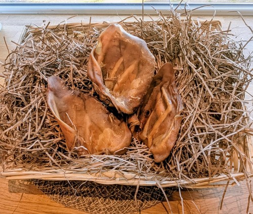 Large pigs ears cow - large, |