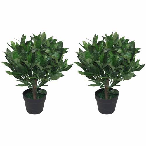 Pair artificial bay - pair, topiary