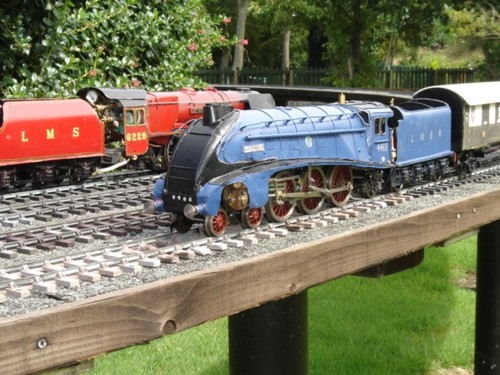Live steam model gauge - gauge, 1