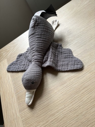 Grey blue duck goose bird - blue,