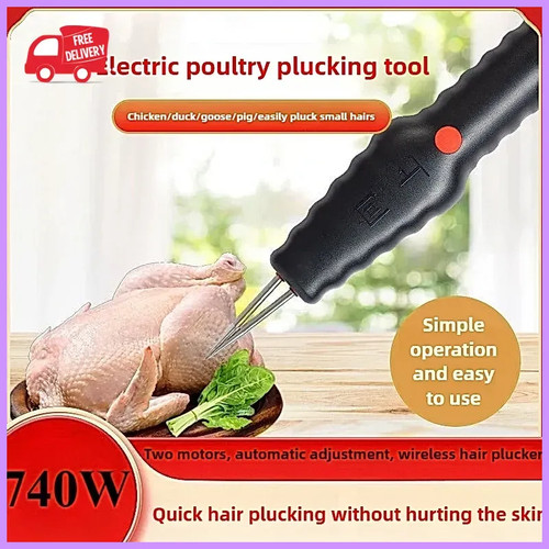 Portable electric chicken - electric,