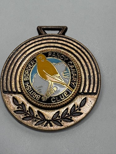 British border fancy canary - british,