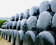 Silage Bales