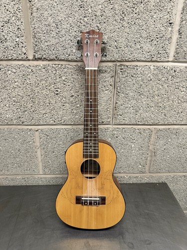 Kmise 24a electro - kmise, acoustic