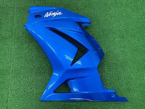 Genuine kawasaki ninja250r - genuine,
