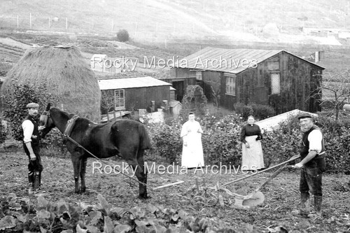 Uaz farming scene horse - farming, scene,