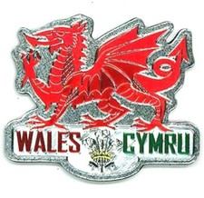 Welsh Fridge Magnet Red Dragon
