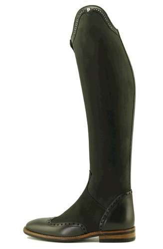 Petrie significant dressage - significant,