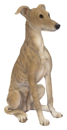 Vivid arts whippet dog - vivid,