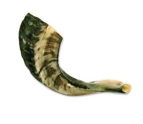 Ram shofar horn - horn, israel