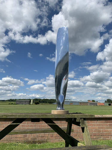 Polished aircraft - 36",