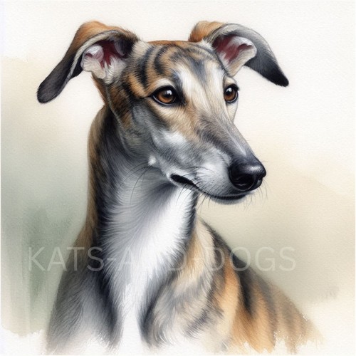 Lurcher watercolour painting - watercolour,