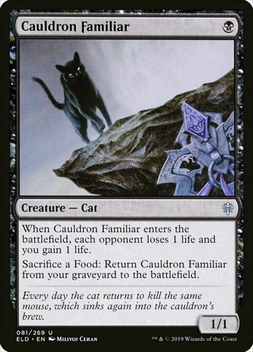 Cauldron familiar - cauldron,