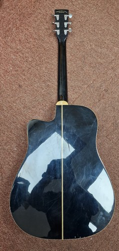 Tanglewood evolution tw28 slbk - evolution,
