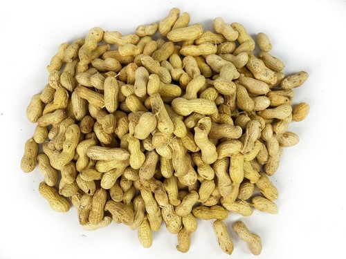 Chubby peanuts shells - chubby,