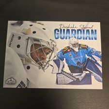 DERSHAHN STEWART GUARDIAN