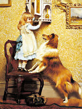 Charles Burton Barber -  A Little Girl and her Sheltie    - 24'  CANVAS