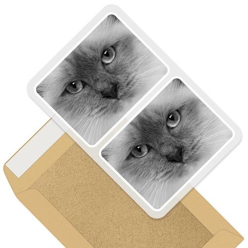 Rectangle stickers 10cm bw - rectangle,