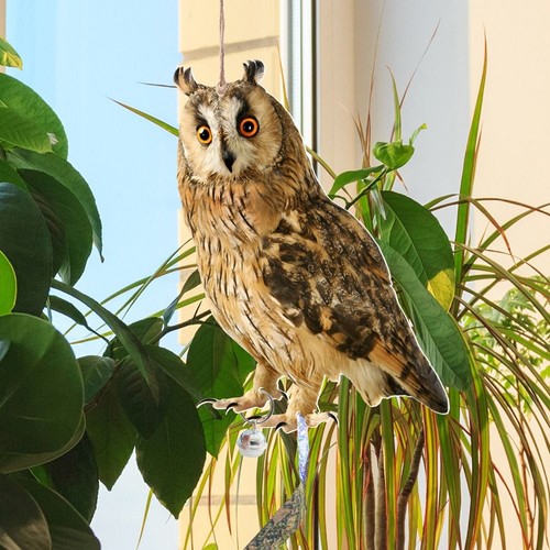 Plastic bird repel - bird,