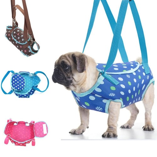 Pet carrier dog cat puppy - dog,