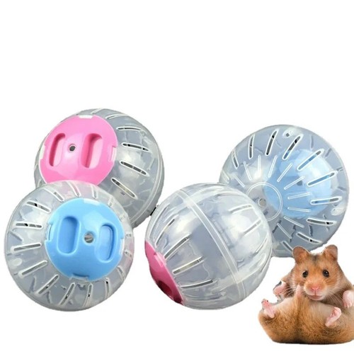 Small pet hamster exercise - small,