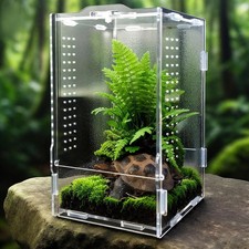 GTSEEMUU Jumping Spider