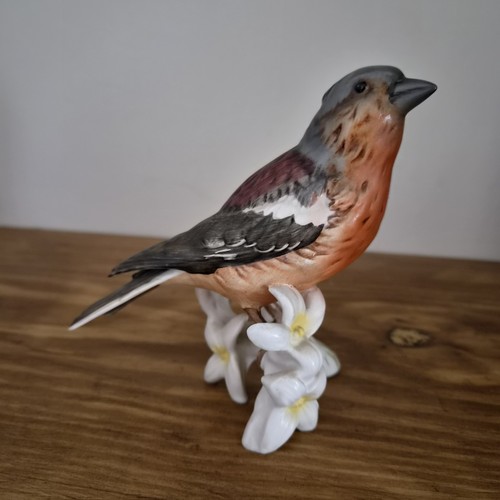 Vintage goebel chaffinch - vintage,
