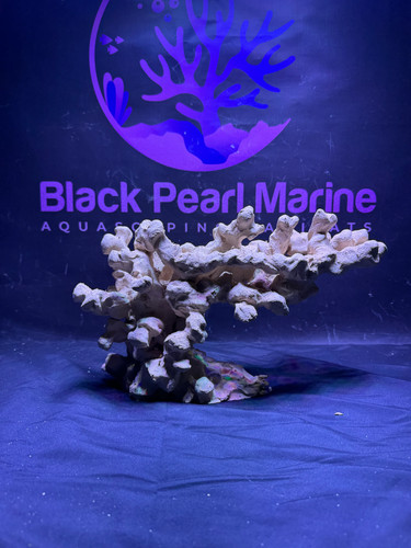 Bpm scape nano 072654 - bpm, |nano|