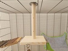 Hanging Pole (21cm) & Platform + Hooks - Pet Cage Accessories, Enrichment Rat