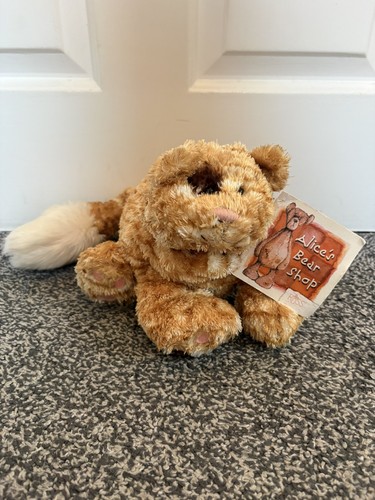 Alice bear shop captain jack - bear,