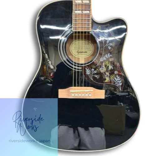 Epiphone hummingbird performer - epiphone,