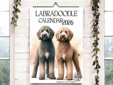 Labradoodle calendar 2026 - labradoodle, 2026-dog